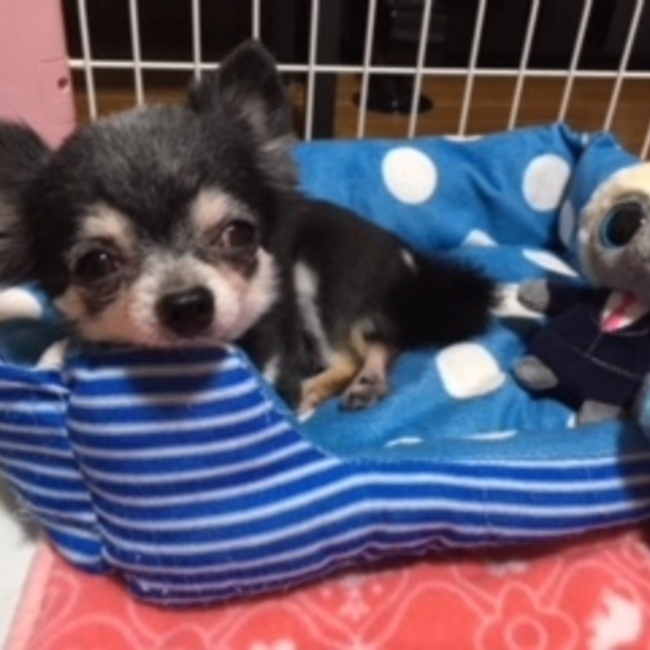 ran20070420のカバー写真