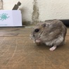 沖水生物部