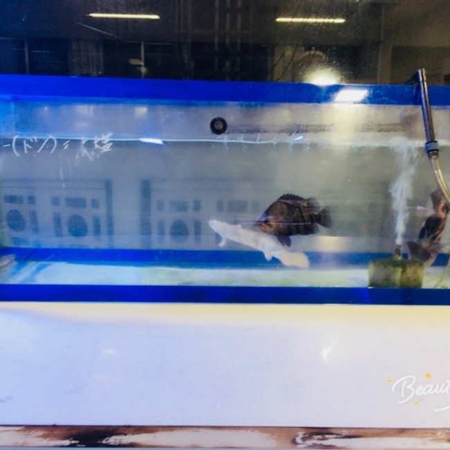 沖水生物部のカバー写真