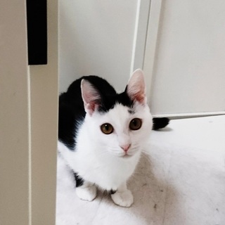 何でも興味津々ちびちょろろん♡