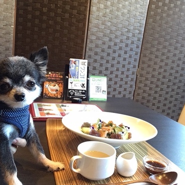 再会のお祝いランチ