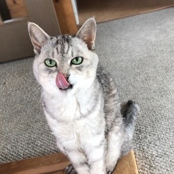 お別れの日