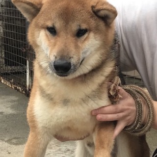 ♂419里親募集です！