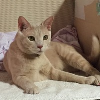 みぃ