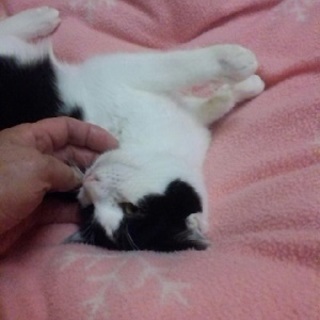 1.6㎏のあみちゃん