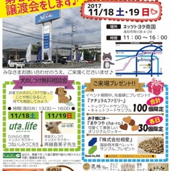 　猫の譲渡会　　ネッツトヨタ南国