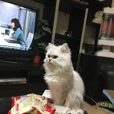 ストーブが好きです！