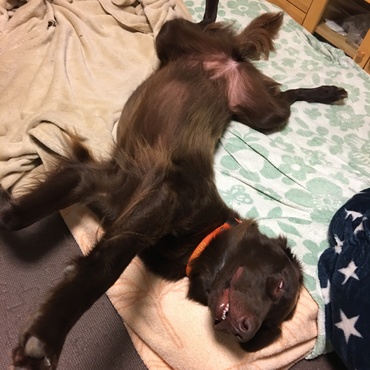 白目剥いて…。