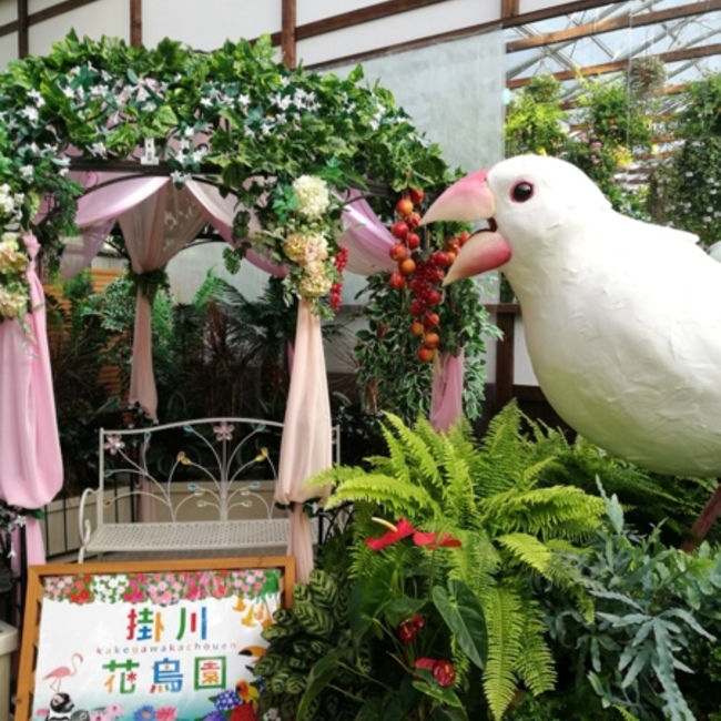 桃福のカバー写真