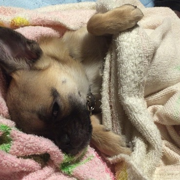 よく眠ります。笑