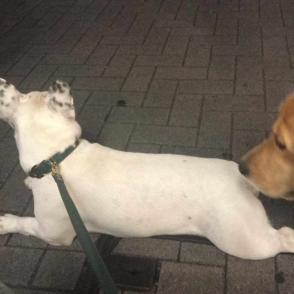 ディーンのカバー写真