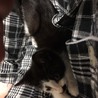 里親様が決まりました♡有難うございました！ サムネイル2