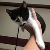 里親様が決まりました♡有難うございました！ サムネイル3