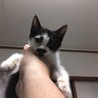 里親様が決まりました♡有難うございました！ サムネイル4