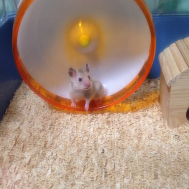 Eika0259のカバー写真