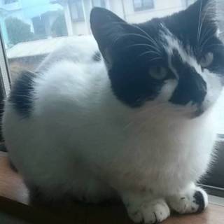 ❤甘え上手な1～2歳の女の子❤