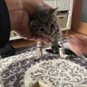 ありがとうございました。