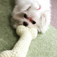 わこ