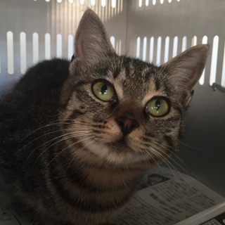 センターにお迎えがありました！有り難うございます