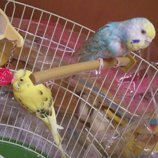 ありがとうございました！