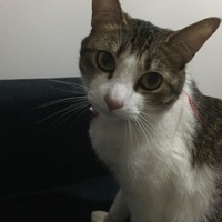 マーニ