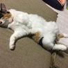  さん