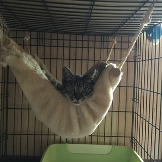 ありがとうございました