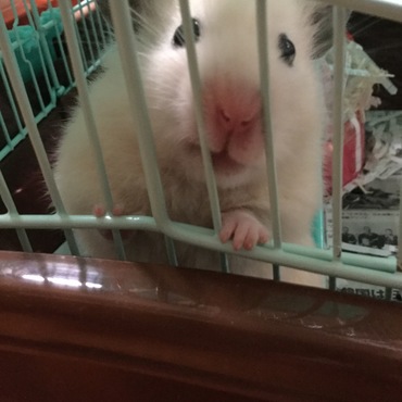 の写真