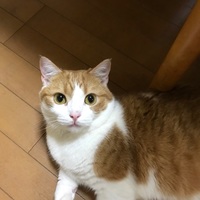 リク