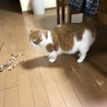の写真