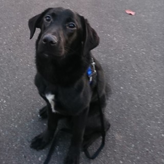 釧路の方希望！