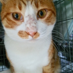 大雨の中、お届けなど