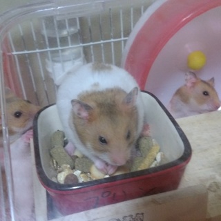 ９月２３日生まれ