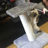 タワー遊び中