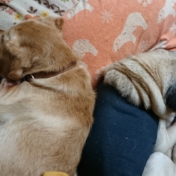 ご無沙汰してます｡ﾟ(^ω^;)ﾟ｡