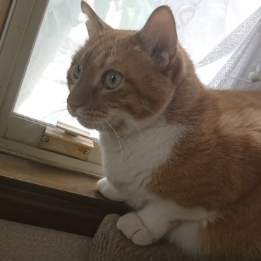 お外観察中。寒そう(；´_ゝ`)