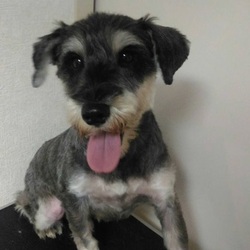 動物フェスティバル神奈川inさがみはら