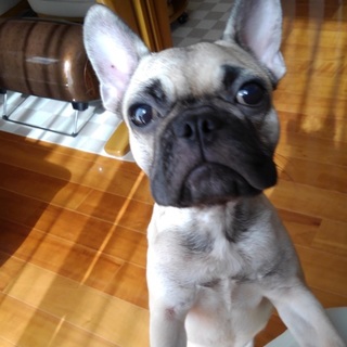 ありがとうございます。募集を終了しました