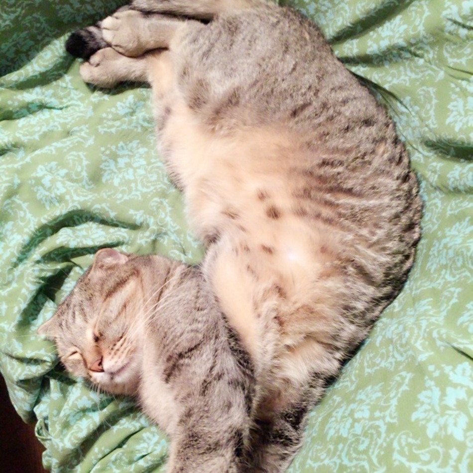 雷蔵のカバー写真