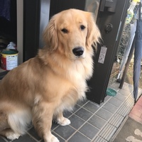 ベル