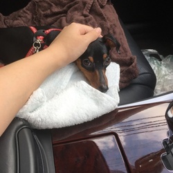 はじめまして(´˘`＊)