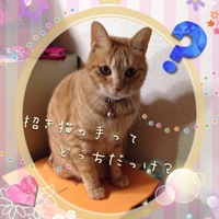 茶々丸