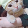 どいや
