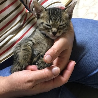 仲良し兄妹家族募集中です！