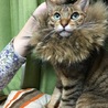 ベル