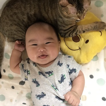お姉ちゃんきた( *´艸｀)