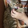 の写真