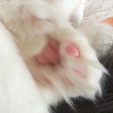 の写真