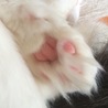 の写真