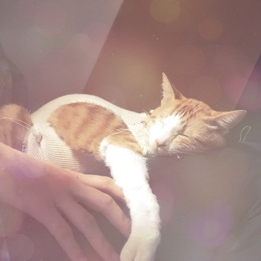 加工しすぎました;